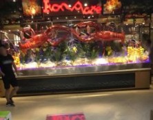 自助餐海鲜冰台